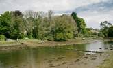 The stepping stones appear at low tide.  - Thumbnail Image