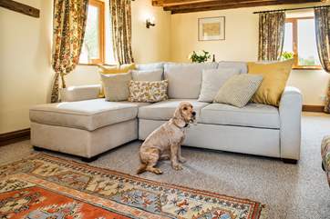 Your four-legged friend is most welcome too!