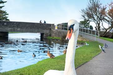Do a bit of bird spotting!