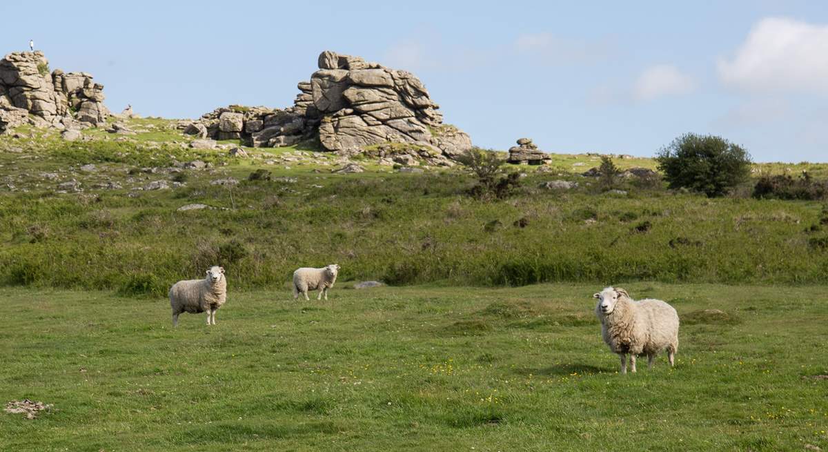 The scenery on Dartmoor is spectacular.