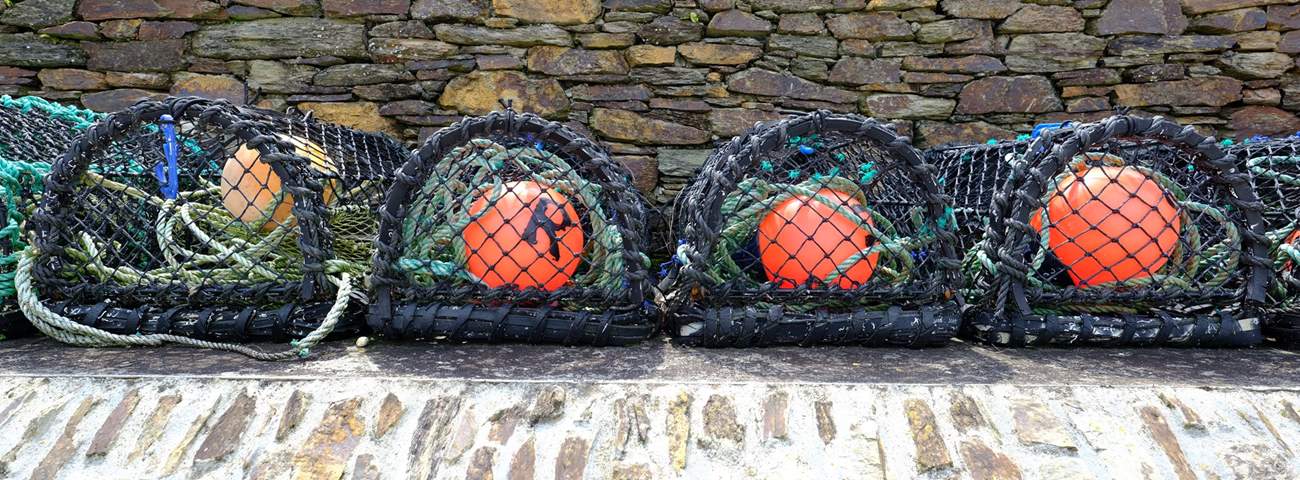 Fishermen still set crab and lobster pots from the harbour.