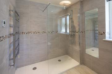 Ground floor shower-room boasts this glorious shower cubicle, WC and wash-basin.