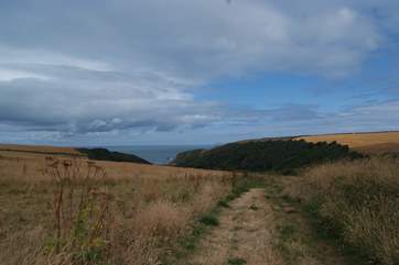 A footpath from the top of the village takes you straight to the coastal path and a hidden bay.