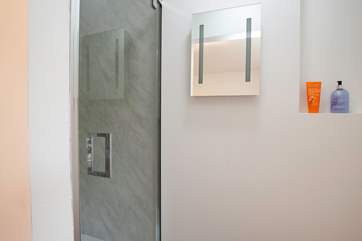 ...With en suite shower-room