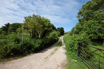 There are many nearby walks