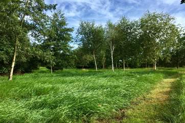 The two and a half acre arboretum is the most beautiful and peaceful place to explore, sit with a book or have a picnic lunch.