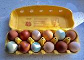 Home produced eggs from the special breed chickens are available for guests to buy.