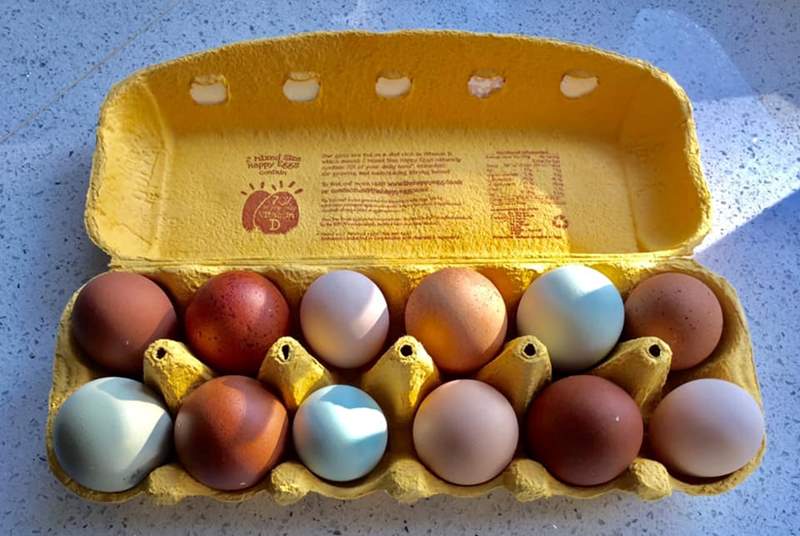 Home produced eggs from the special breed chickens are available for guests to buy.