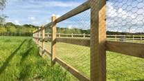 The garden is fenced to reassure parents with young children and guests who wish to bring their dog with them.