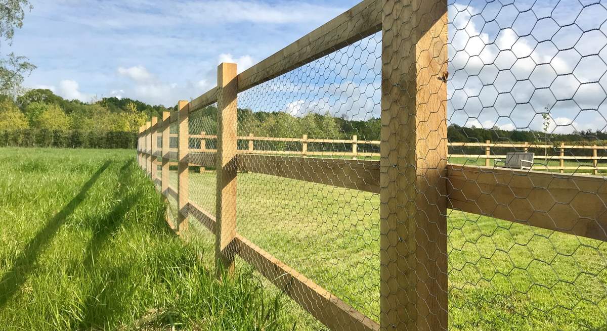 The garden is fenced to reassure parents with young children and guests who wish to being their dog with them.