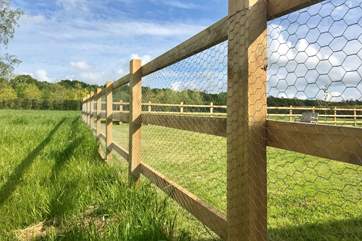 The garden is fenced to reassure parents with young children and guests who wish to being their dog with them.
