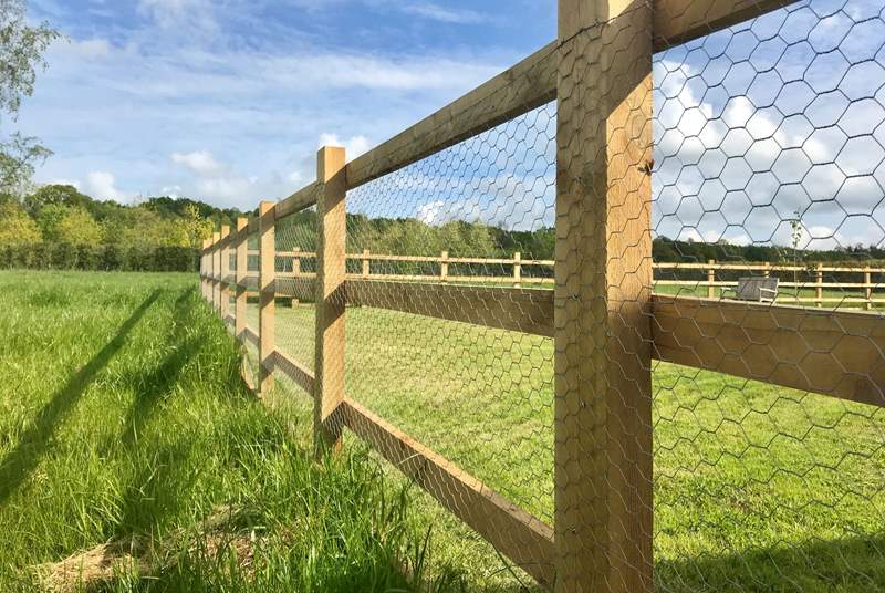 The garden is fenced to reassure parents with young children and guests who wish to being their dog with them.