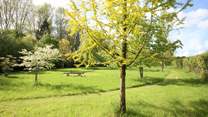 The two and a half acre arboretum is the most beautiful and peaceful place to explore, sit with a book or have a picnic lunch.