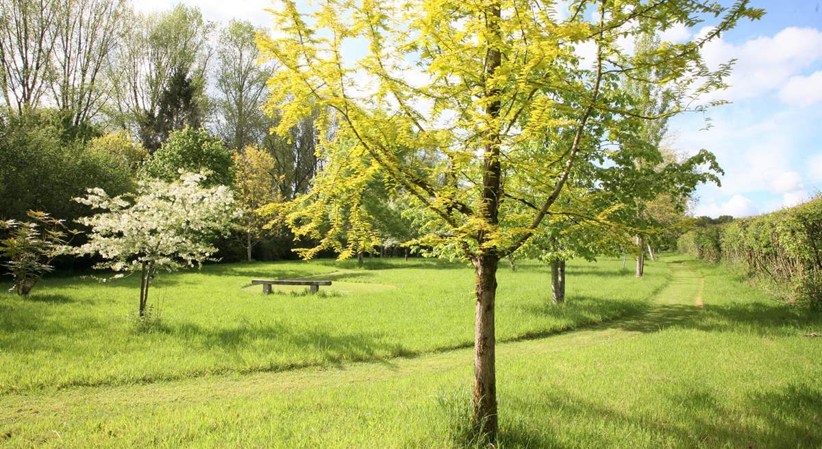 The two and a half acre arboretum is the most beautiful and peaceful place to explore, sit with a book or have a picnic lunch.