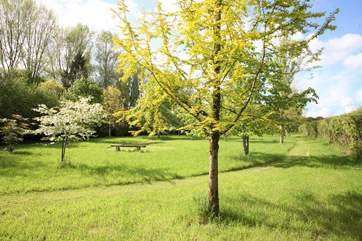 The two and a half acre arboretum is the most beautiful and peaceful place to explore, sit with a book or have a picnic lunch.