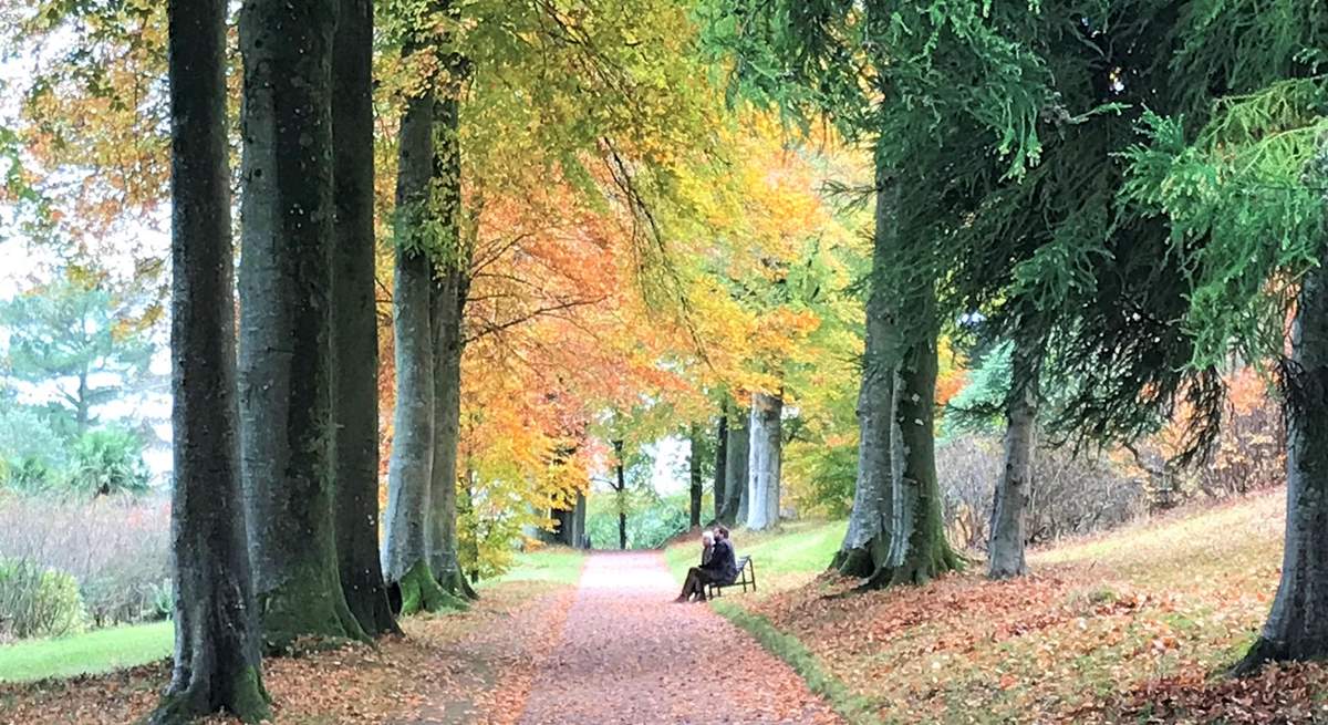 Killerton House and Gardens are well worth a visit.