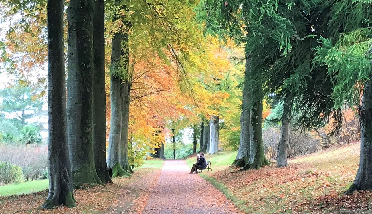 Killerton House and Gardens are well worth a visit.