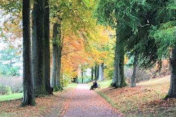 Killerton House and Gardens are well worth a visit.