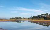 Pay a visit to the peaceful Otter Estuary Nature Reserve. - Thumbnail Image