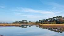 Pay a visit to the peaceful Otter Estuary Nature Reserve.