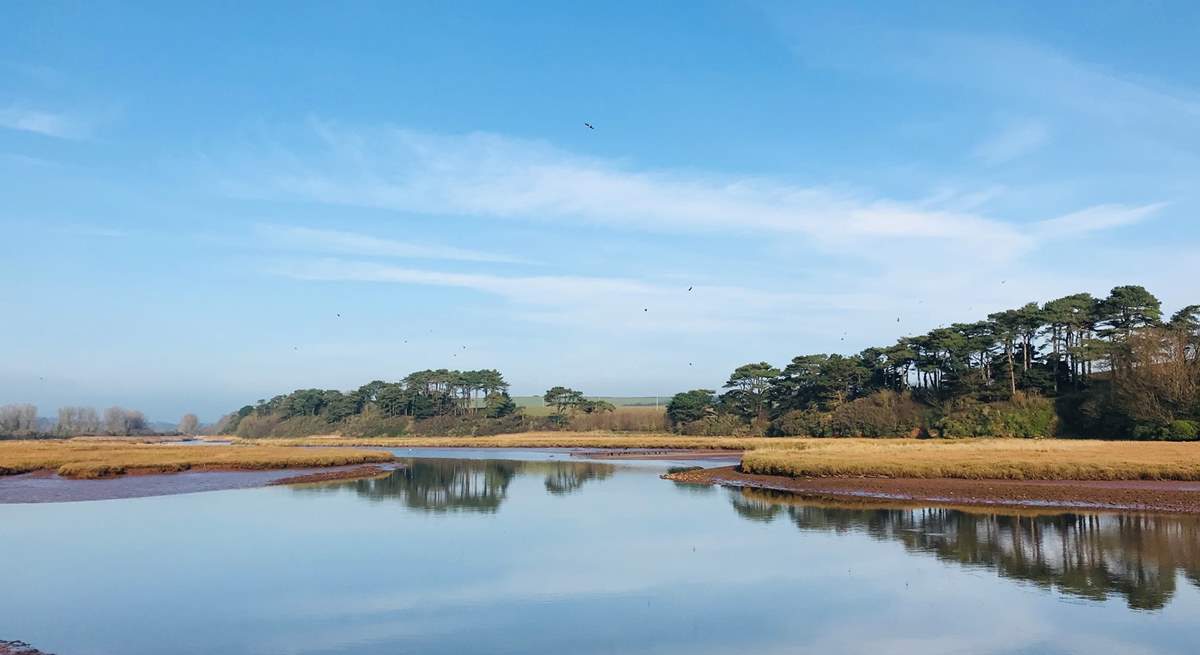 Pay a visit to the peaceful Otter Estuary Nature Reserve.