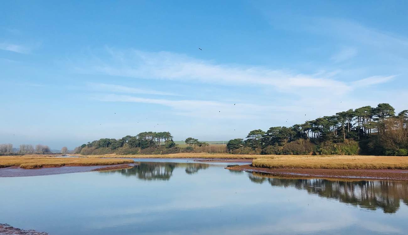 Pay a visit to the peaceful Otter Estuary Nature Reserve.