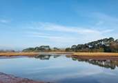 Pay a visit to the peaceful Otter Estuary Nature Reserve.