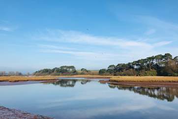 Pay a visit to the peaceful Otter Estuary Nature Reserve.