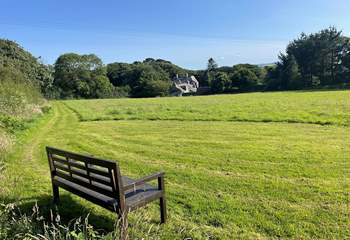 The owners offer two enclosed dog paddocks for you to enjoy with your four legged friends.