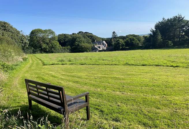 The owners offer two enclosed dog paddocks for you to enjoy with your four legged friends.