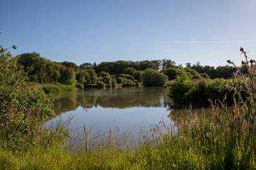 One of the amazing walks takes you down to the lake and around the perimeter. A real hit with your four-legged friends.