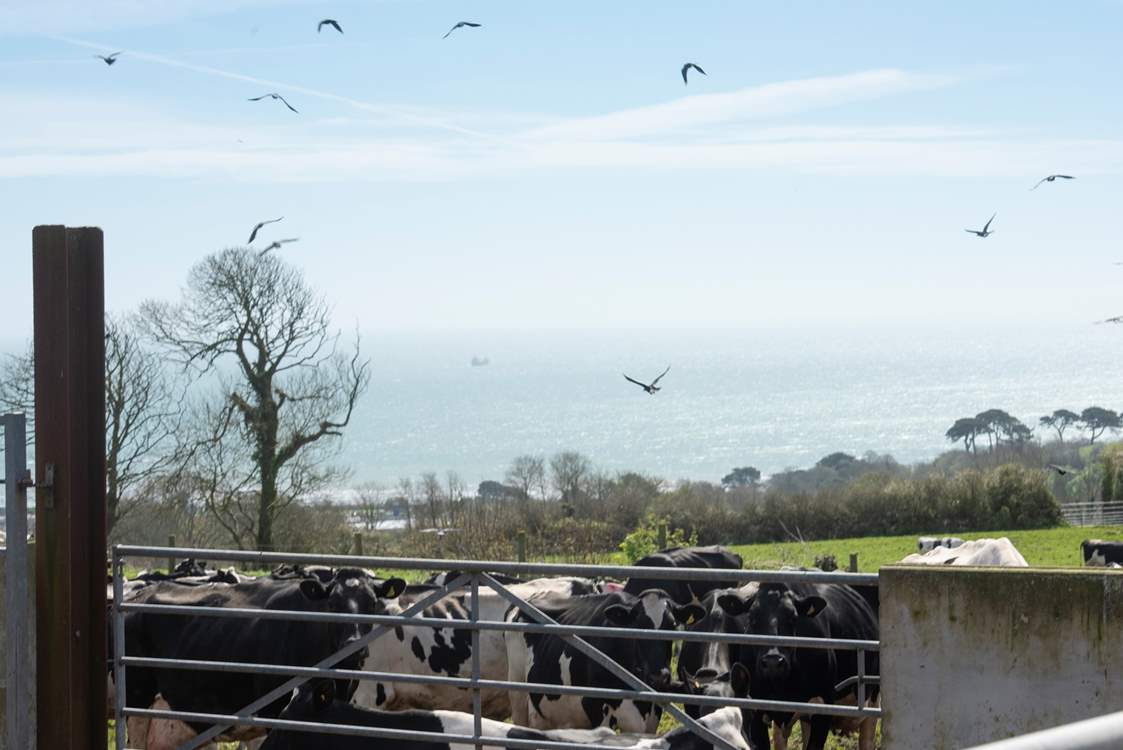 A simply glorious view.