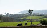 Parlour Sky has such beautiful sea views and an excellent outdoor area to enjoy them. - Thumbnail Image