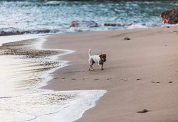 Your four legged friends are welcome to join you at Parlour Sky.