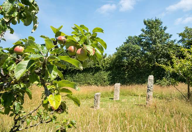 Lots of lovely areas to discover in the garden.