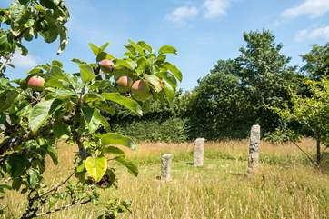 Lots of lovely areas to discover in the garden.