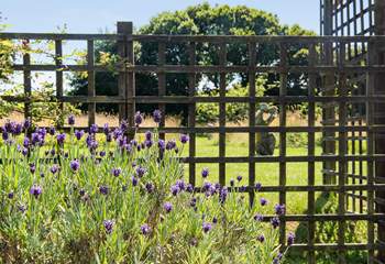The communal gardens are quite delightful.