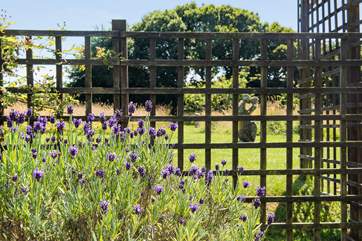 The communal gardens are quite delightful.