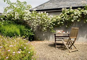A lovely spot to enjoy afternoon tea beneath the rambling rose.