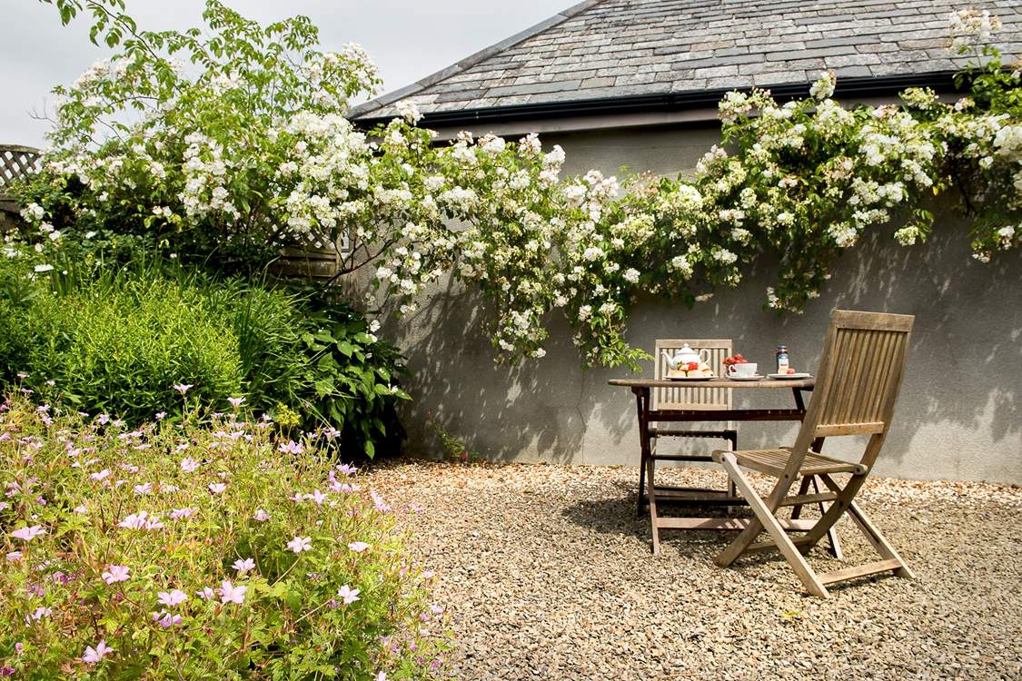 A lovely spot to enjoy afternoon tea beneath the rambling rose.