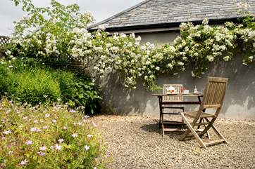 A lovely spot to enjoy afternoon tea beneath the rambling rose.