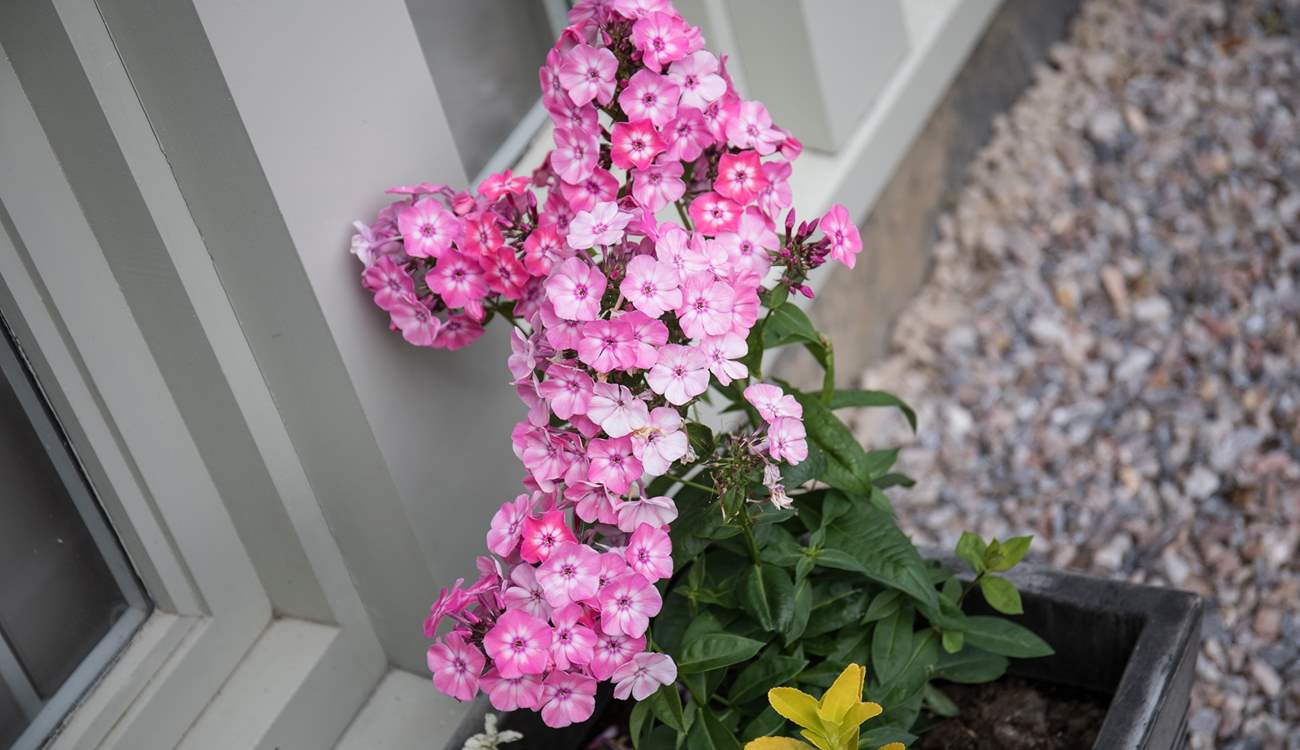 The grounds and scenery in this beautiful spot are bursting with colour and life.