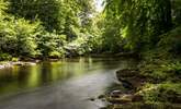 Dartmoor has some magical landscapes to explore. - Thumbnail Image