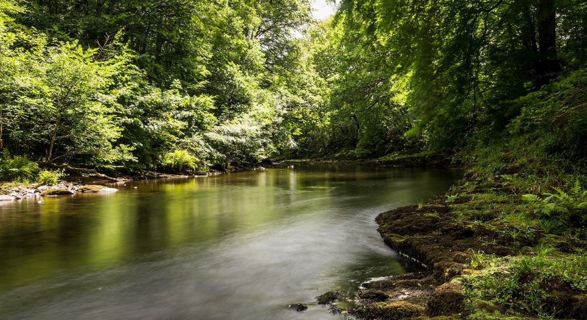 Dartmoor has some magical landscapes to explore.