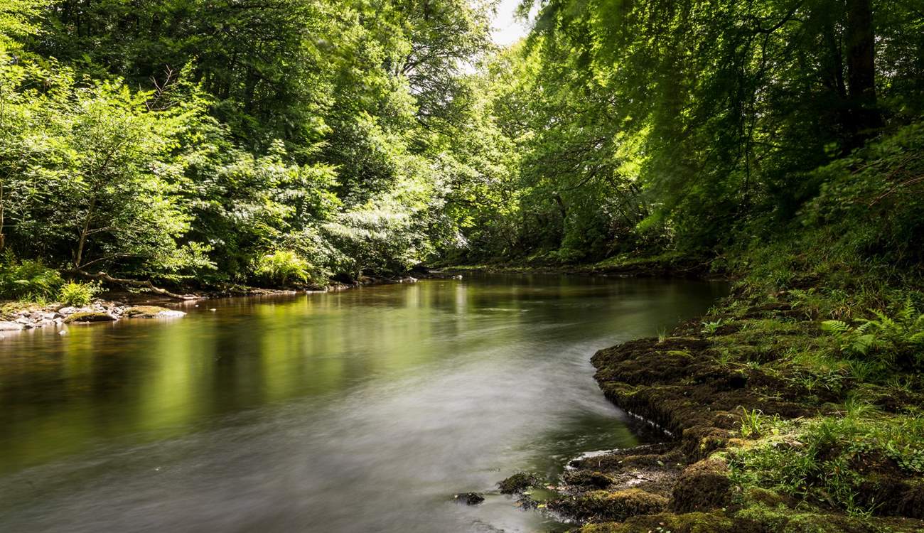 Dartmoor has some magical landscapes to explore.