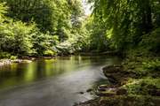 Dartmoor has some magical landscapes to explore.