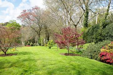 The lower garden in the spring.