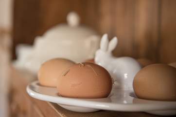 Fresh eggs from the farm on your arrival