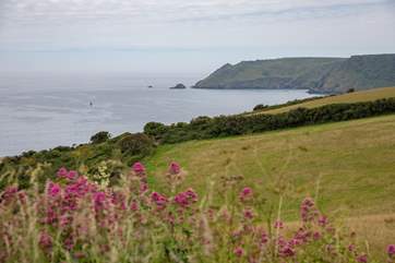 The views from Gara Rock and along the coastal path are breathtaking.