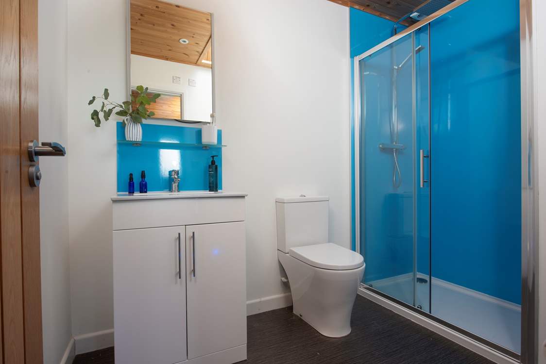 The en suite shower-room.